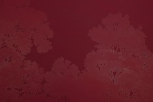 red hidden landscapes