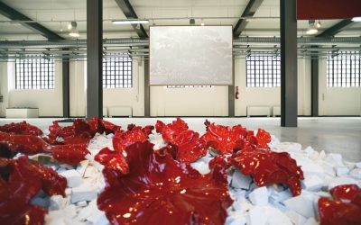 Fabbrica del Vapore – Milano16 luglio | 27 settembre 2015